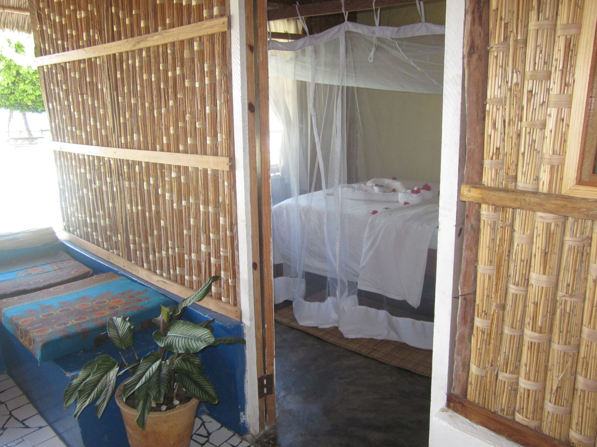 Baobab Beach Lodge And Backpackers فيلانكولوس المظهر الخارجي الصورة