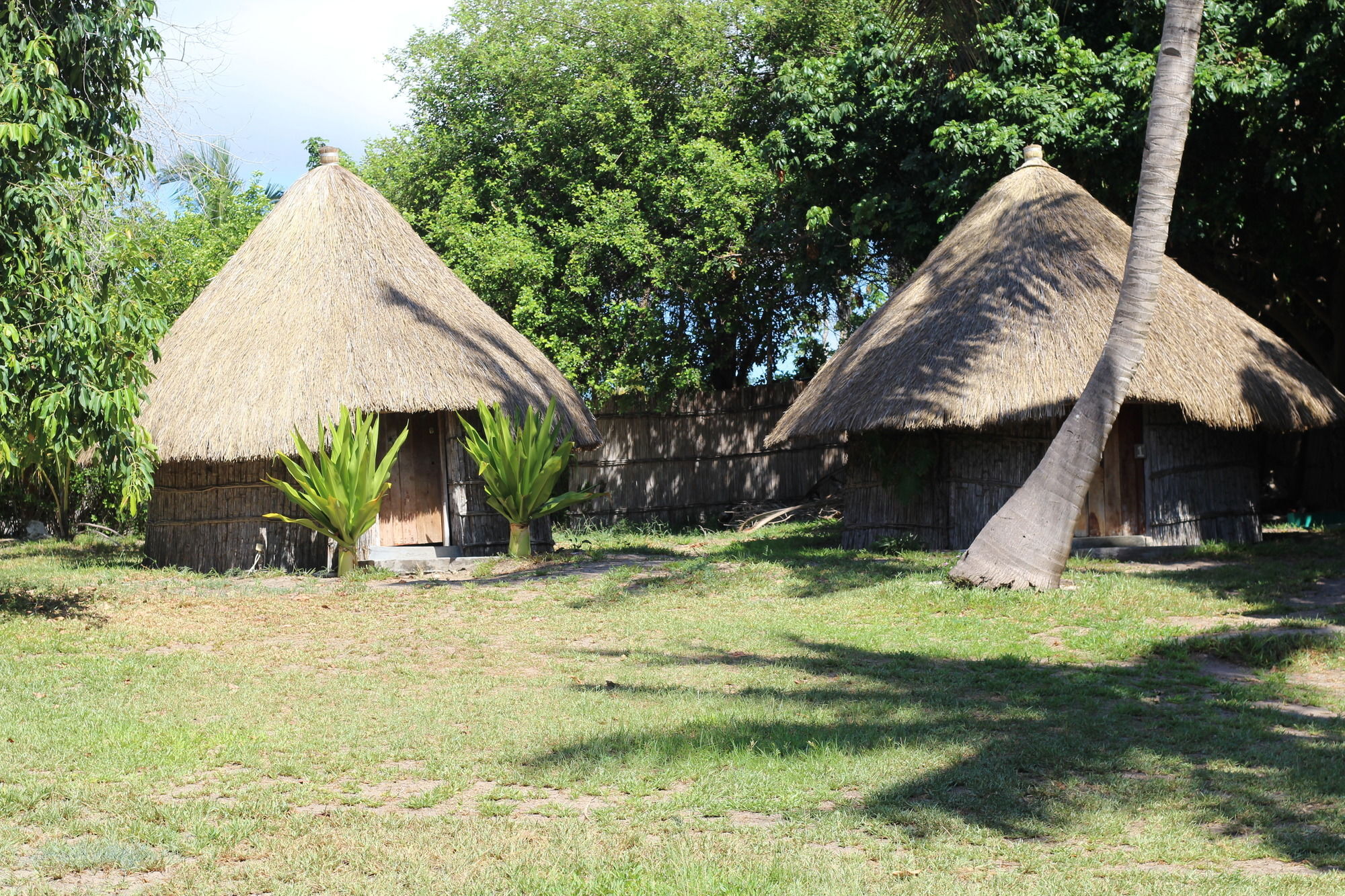 Baobab Beach Lodge And Backpackers فيلانكولوس المظهر الخارجي الصورة